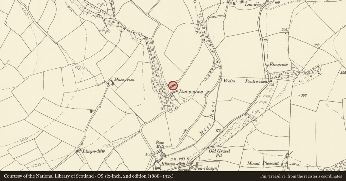 Ordnance Survey six-inch map, 2nd edition (1888–1913) covering the location of Outbuilding on N side of yard at Dan-y-graig, Meidrim, Carmarthenshire, with a pin at the register's coordinates