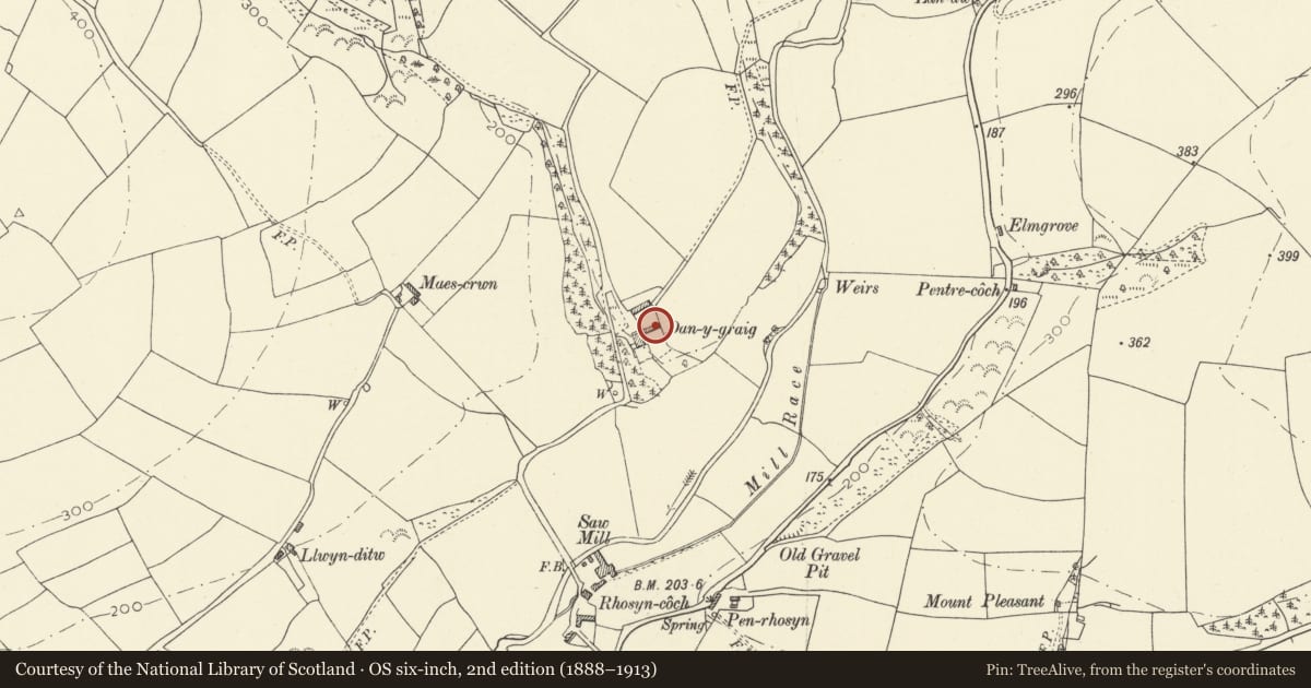 Ordnance Survey six-inch map, 2nd edition (1888–1913) covering the location of Outbuilding on S side of yard at Dan-y-graig, Meidrim, Carmarthenshire, with a pin at the register's coordinates