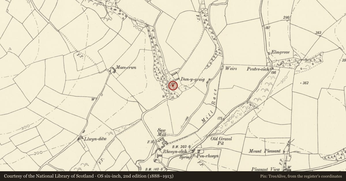 Ordnance Survey six-inch map, 2nd edition (1888–1913) covering the location of Outside toilet at Dan-y-graig, Meidrim, Carmarthenshire, with a pin at the register's coordinates