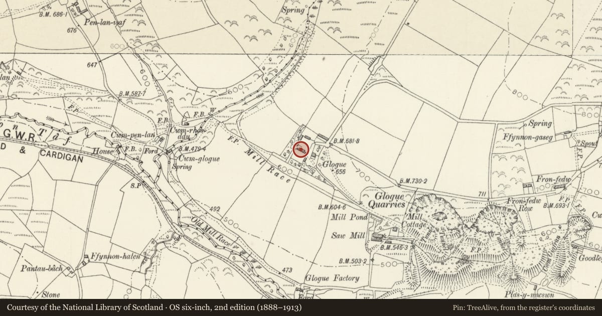 Ordnance Survey six-inch map, 2nd edition (1888–1913) covering the location of Lofted range at Glogue Farm, Clydau, Pembrokeshire, with a pin at the register's coordinates