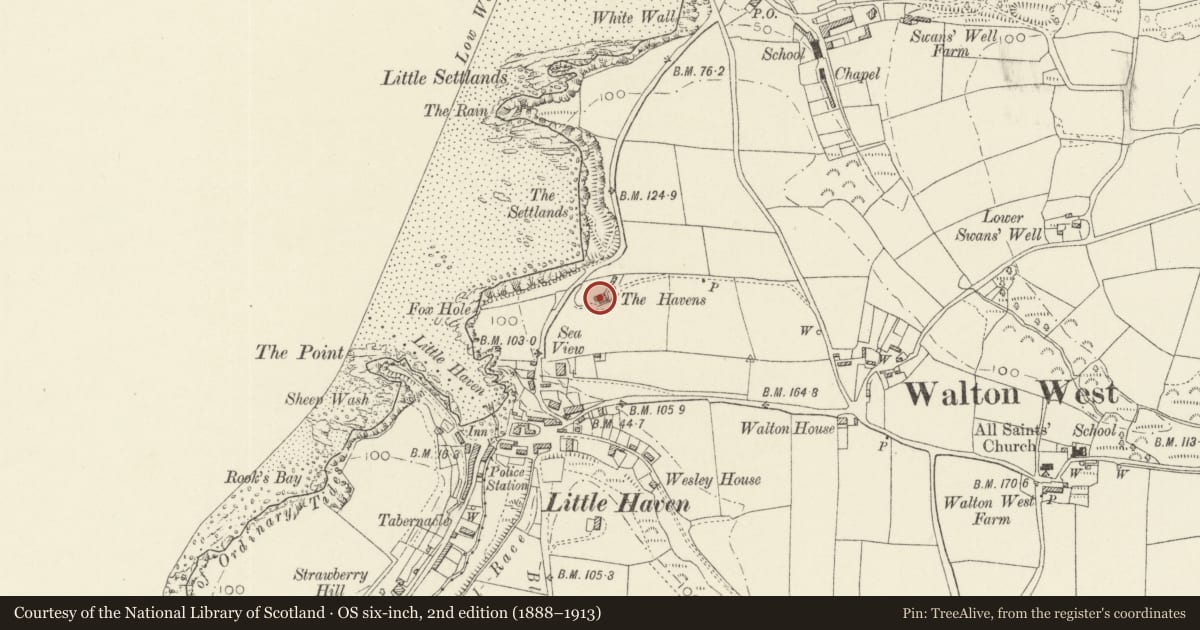 Ordnance Survey six-inch map, 2nd edition (1888–1913) covering the location of Haven Fort Hotel, The Havens, Pembrokeshire, with a pin at the register's coordinates