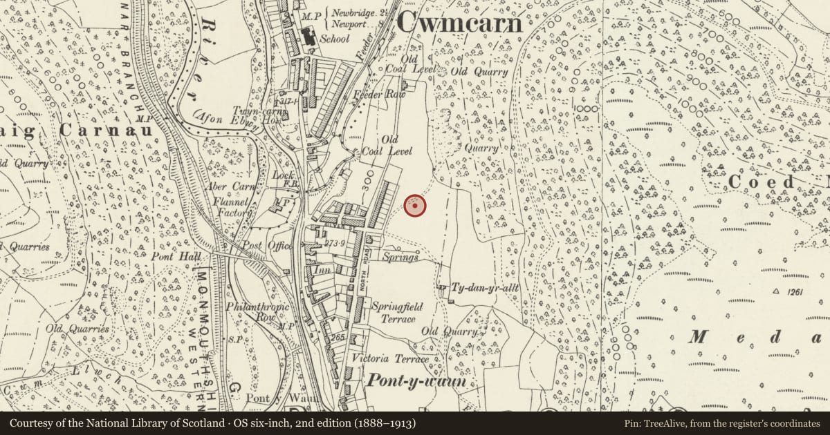 Ordnance Survey six-inch map, 2nd edition (1888–1913) covering the location of 10 Garden Suburbs, Crosskeys, Caerphilly, with a pin at the register's coordinates