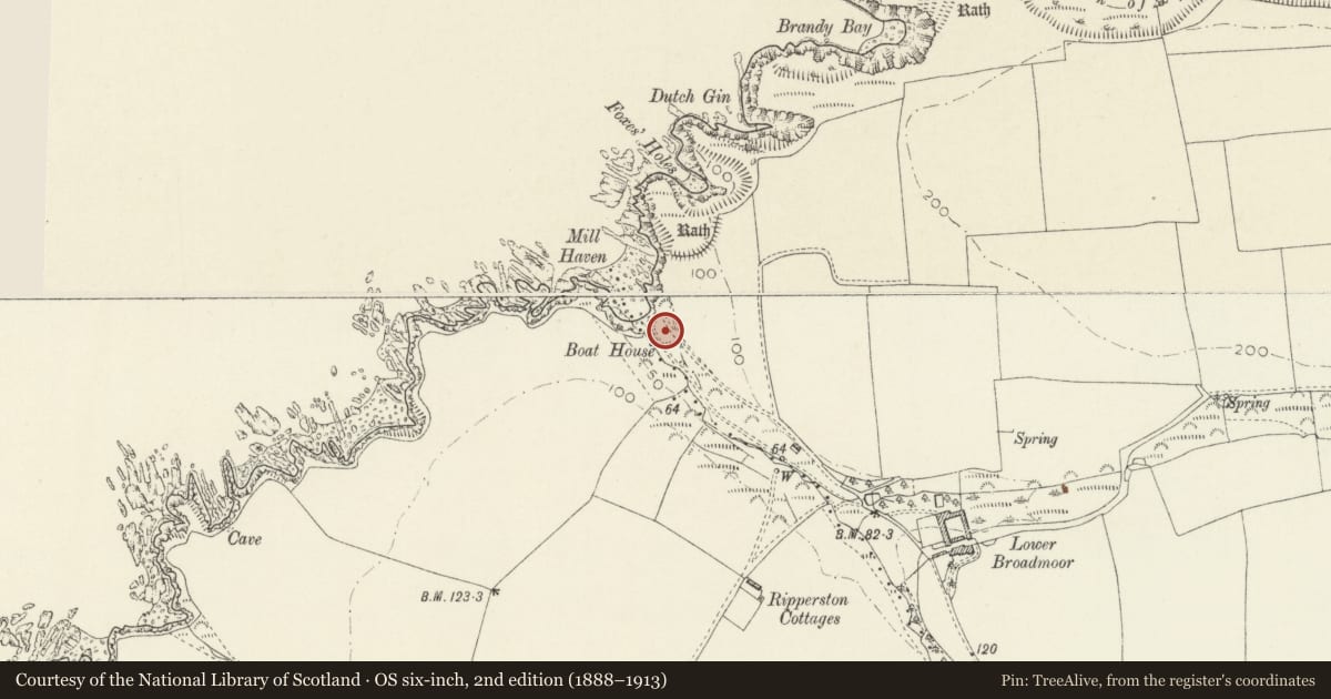 Ordnance Survey six-inch map, 2nd edition (1888–1913) covering the location of Lime Kiln at Mill Haven, The Havens, Pembrokeshire, with a pin at the register's coordinates