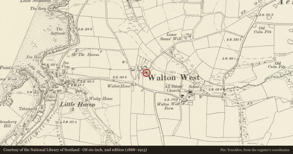 Ordnance Survey six-inch map, 2nd edition (1888–1913) covering the location of Walton West Farmhouse, The Havens, Pembrokeshire, with a pin at the register's coordinates