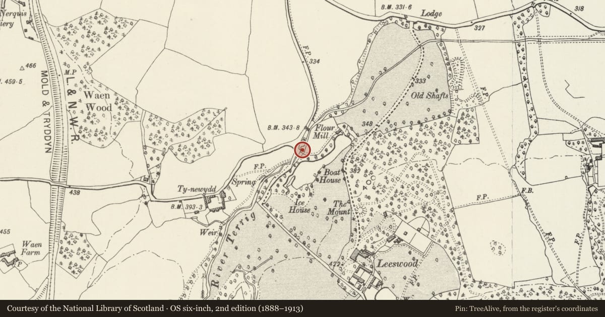Ordnance Survey six-inch map, 2nd edition (1888–1913) covering the location of Bridge over River Terrig near White Gates Cottage, Leeswood and Pontblyddyn, Flintshire, with a pin at the register's coordinates