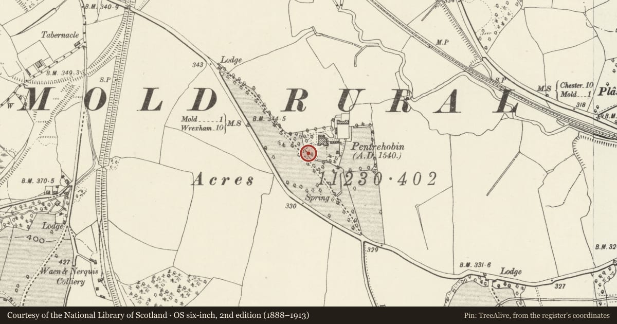 Ordnance Survey six-inch map, 2nd edition (1888–1913) covering the location of Inner Boundary Wall at Pentrehobyn including attached gate piers on main drive, Leeswood and Pontblyddyn, Flintshire, with a pin at the register's coordinates