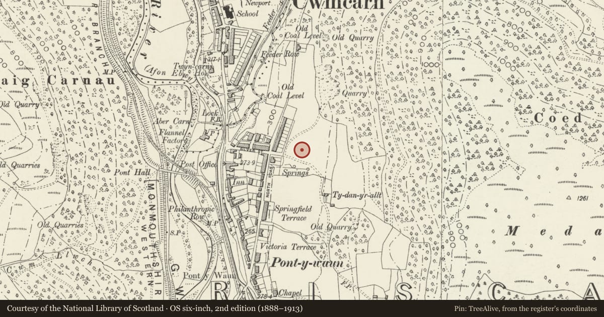 Ordnance Survey six-inch map, 2nd edition (1888–1913) covering the location of 22 Garden Suburbs, Circus, Crosskeys, Caerphilly, with a pin at the register's coordinates