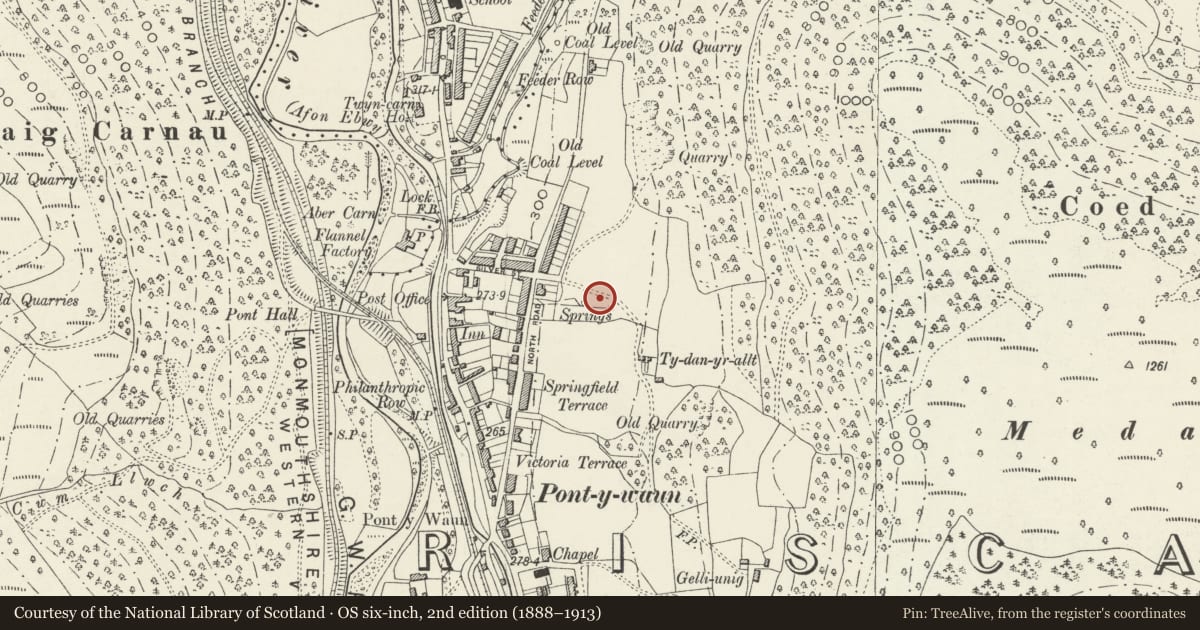 Ordnance Survey six-inch map, 2nd edition (1888–1913) covering the location of 30 Garden Suburbs, Circus, Crosskeys, Caerphilly, with a pin at the register's coordinates