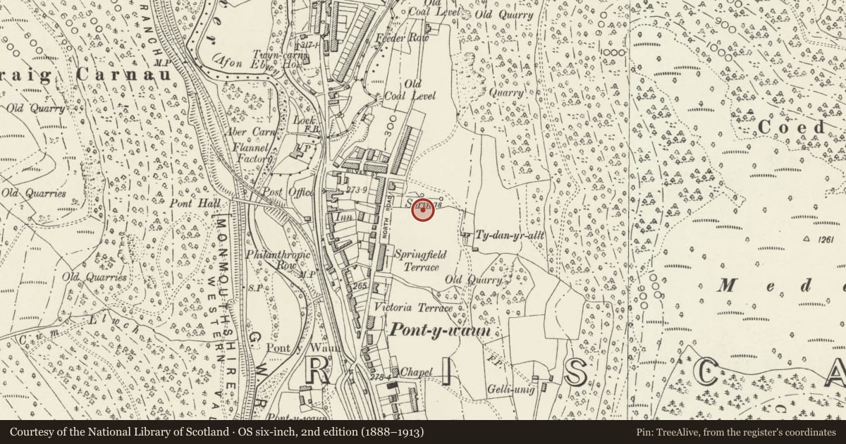 Ordnance Survey six-inch map, 2nd edition (1888–1913) covering the location of 38 Garden Suburbs, Crosskeys, Caerphilly, with a pin at the register's coordinates