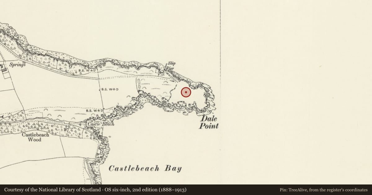 Ordnance Survey six-inch map, 2nd edition (1888–1913) covering the location of Dale Fort, Pembrokeshire, with a pin at the register's coordinates