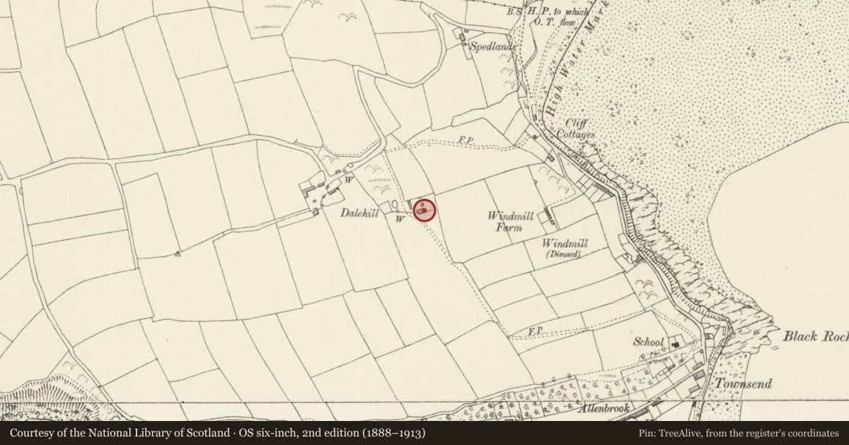 Ordnance Survey six-inch map, 2nd edition (1888–1913) covering the location of Lower Dalehill Farmhouse, Pembrokeshire, with a pin at the register's coordinates