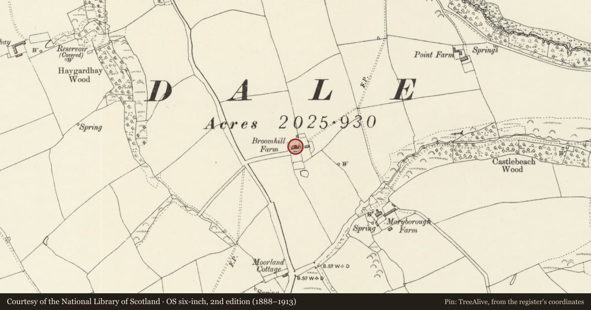 Ordnance Survey six-inch map, 2nd edition (1888–1913) covering the location of Broomhill Farmhouse, Dale, Pembrokeshire, with a pin at the register's coordinates