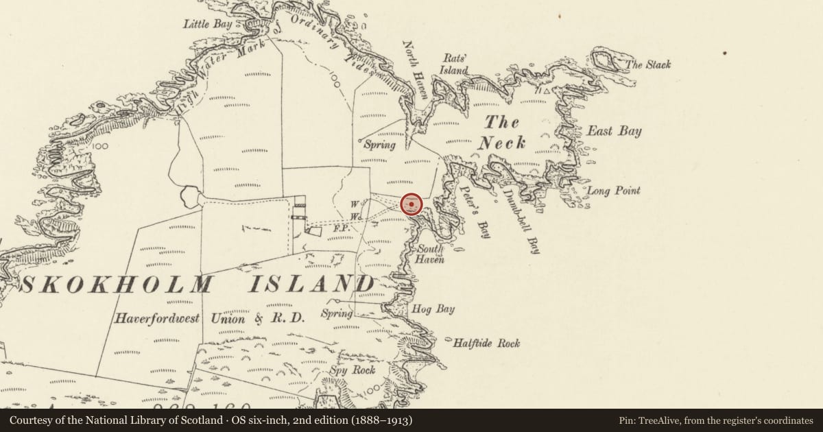 Ordnance Survey six-inch map, 2nd edition (1888–1913) covering the location of Limekiln at South Haven, Marloes and St. Brides, Pembrokeshire, with a pin at the register's coordinates
