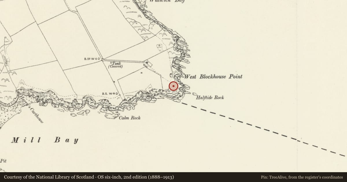 Ordnance Survey six-inch map, 2nd edition (1888–1913) covering the location of West Blockhouse Fort, Dale, Pembrokeshire, with a pin at the register's coordinates