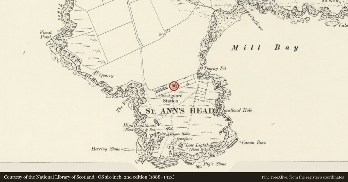 Ordnance Survey six-inch map, 2nd edition (1888–1913) covering the location of Veronica Cottage, Dale, Pembrokeshire, with a pin at the register's coordinates
