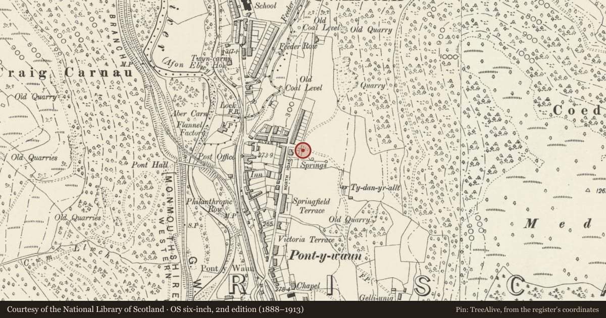 Ordnance Survey six-inch map, 2nd edition (1888–1913) covering the location of 49 Garden Suburbs, Circus, Crosskeys, Caerphilly, with a pin at the register's coordinates