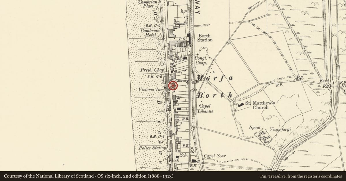 Ordnance Survey six-inch map, 2nd edition (1888–1913) covering the location of Angorfa, Borth, Ceredigion, with a pin at the register's coordinates