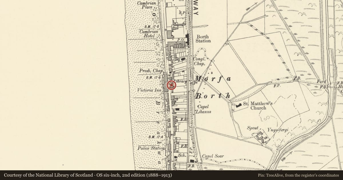 Ordnance Survey six-inch map, 2nd edition (1888–1913) covering the location of Morfan, Borth, Ceredigion, with a pin at the register's coordinates