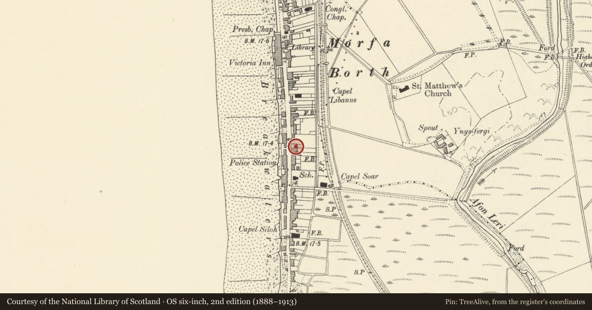 Ordnance Survey six-inch map, 2nd edition (1888–1913) covering the location of Saxatile, Borth, Ceredigion, with a pin at the register's coordinates