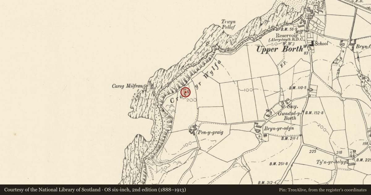 Ordnance Survey six-inch map, 2nd edition (1888–1913) covering the location of War Memorial, Borth, Ceredigion, with a pin at the register's coordinates