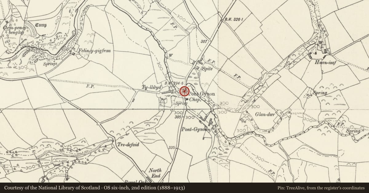 Ordnance Survey six-inch map, 2nd edition (1888–1913) covering the location of Pont Gynon and Boundary Stone, Eglwyswrw, Pembrokeshire, with a pin at the register's coordinates