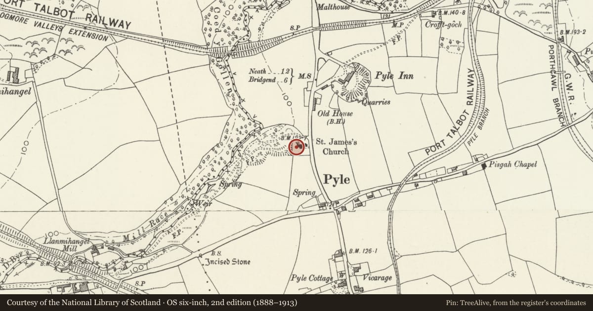 Ordnance Survey six-inch map, 2nd edition (1888–1913) covering the location of Morgan monument in St James' churchyard, Pyle, Bridgend, with a pin at the register's coordinates