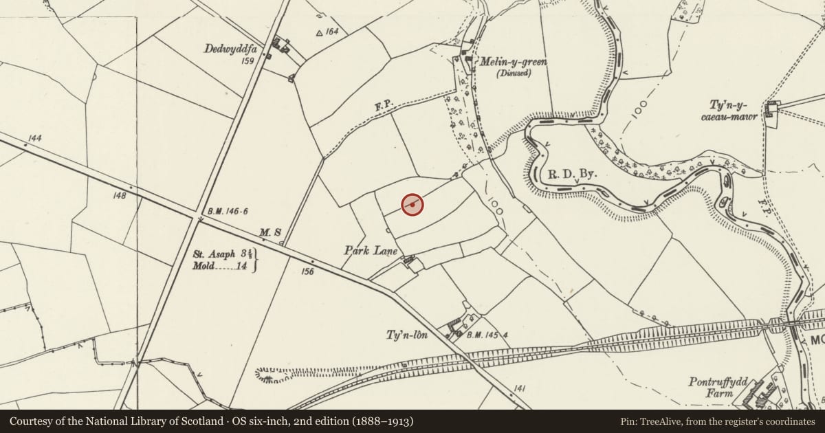 Ordnance Survey six-inch map, 2nd edition (1888–1913) covering the location of Maes Heulyn, Trefnant, Denbighshire, with a pin at the register's coordinates