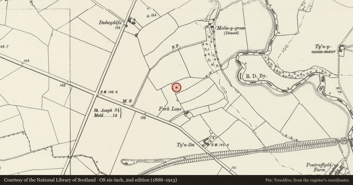 Ordnance Survey six-inch map, 2nd edition (1888–1913) covering the location of Stable/Garage Range at Maes Heulyn, Trefnant, Denbighshire, with a pin at the register's coordinates