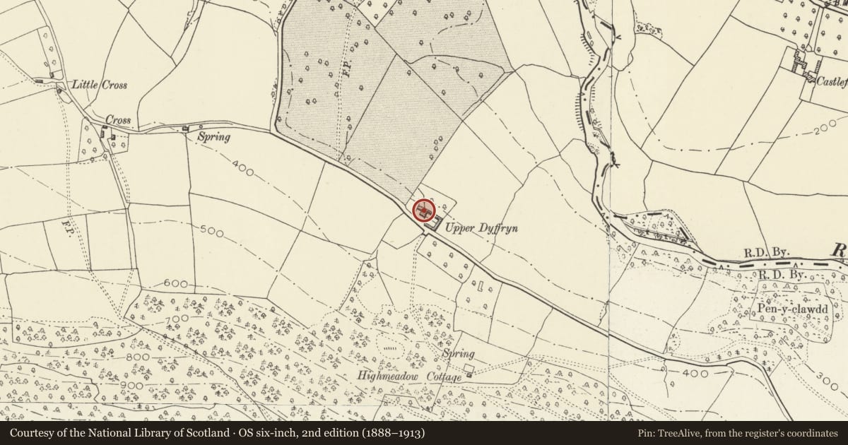 Ordnance Survey six-inch map, 2nd edition (1888–1913) covering the location of Upper Dyffryn House, Grosmont, Monmouthshire, with a pin at the register's coordinates