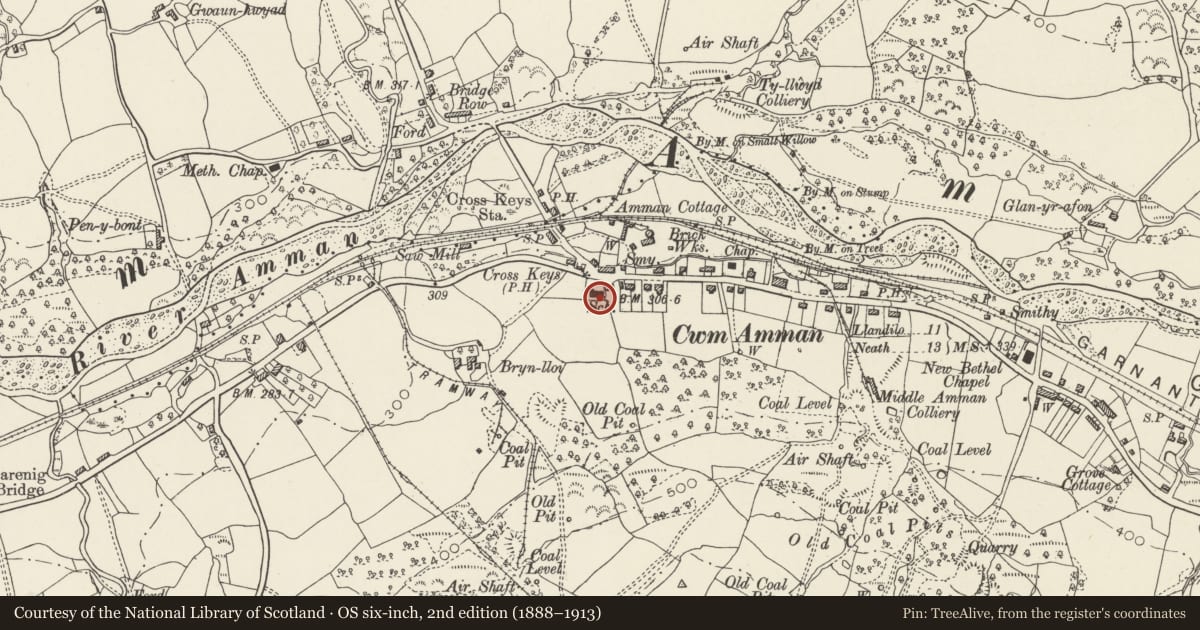 Ordnance Survey six-inch map, 2nd edition (1888–1913) covering the location of Capel Brynseion, Cwmamman, Carmarthenshire, with a pin at the register's coordinates