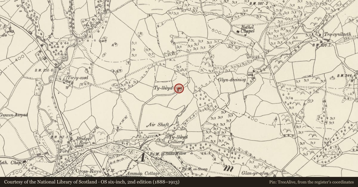 Ordnance Survey six-inch map, 2nd edition (1888–1913) covering the location of Ty-llwyd Farmhouse, Cwmamman, Carmarthenshire, with a pin at the register's coordinates
