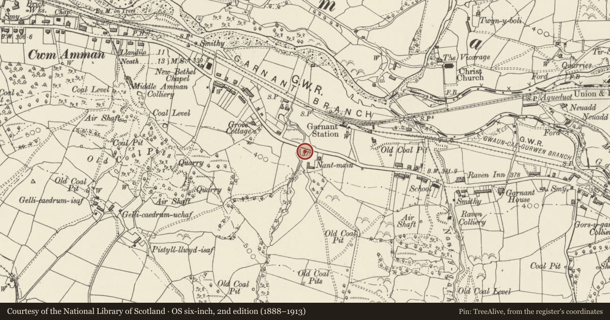 Ordnance Survey six-inch map, 2nd edition (1888–1913) covering the location of Jims Barber Shop and 207, Cwmamman, Carmarthenshire, with a pin at the register's coordinates