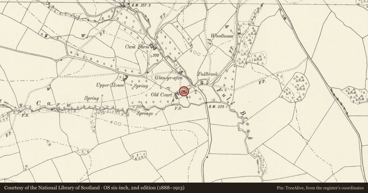 Ordnance Survey six-inch map, 2nd edition (1888–1913) covering the location of Old Court including Former Cider House, Granary and Stable Range, Grosmont, Monmouthshire, with a pin at the register's coordinates