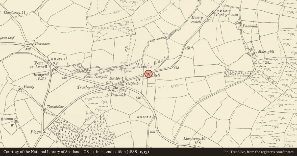 Ordnance Survey six-inch map, 2nd edition (1888–1913) covering the location of Castell, Cynwyl Gaeo, Carmarthenshire, with a pin at the register's coordinates