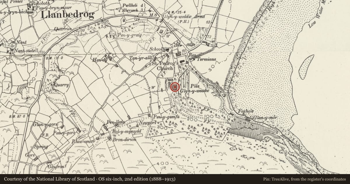 Ordnance Survey six-inch map, 2nd edition (1888–1913) covering the location of Plas Glyn-y-Weddw, Llanbedrog, Gwynedd, with a pin at the register's coordinates