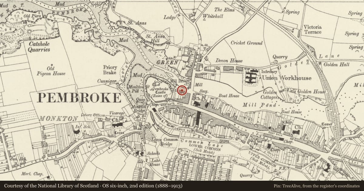 Ordnance Survey six-inch map, 2nd edition (1888–1913) covering the location of Retaining wall to S of Town Quay, Pembroke, Pembrokeshire, with a pin at the register's coordinates