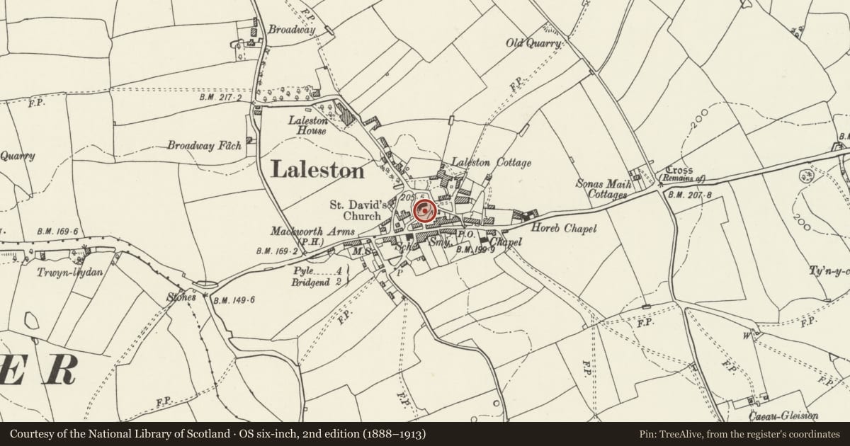 Ordnance Survey six-inch map, 2nd edition (1888–1913) covering the location of Churchyard Cross in St David's churchyard, Laleston, Bridgend, with a pin at the register's coordinates