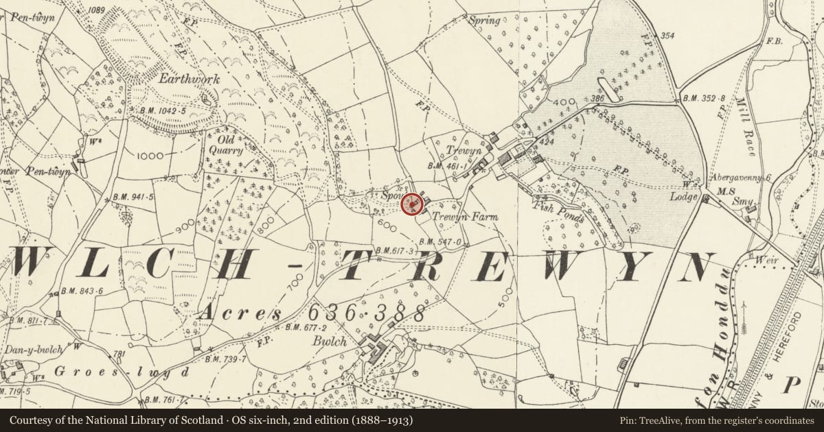 Ordnance Survey six-inch map, 2nd edition (1888–1913) covering the location of Barn at Trewyn Farm, Crucorney, Monmouthshire, with a pin at the register's coordinates