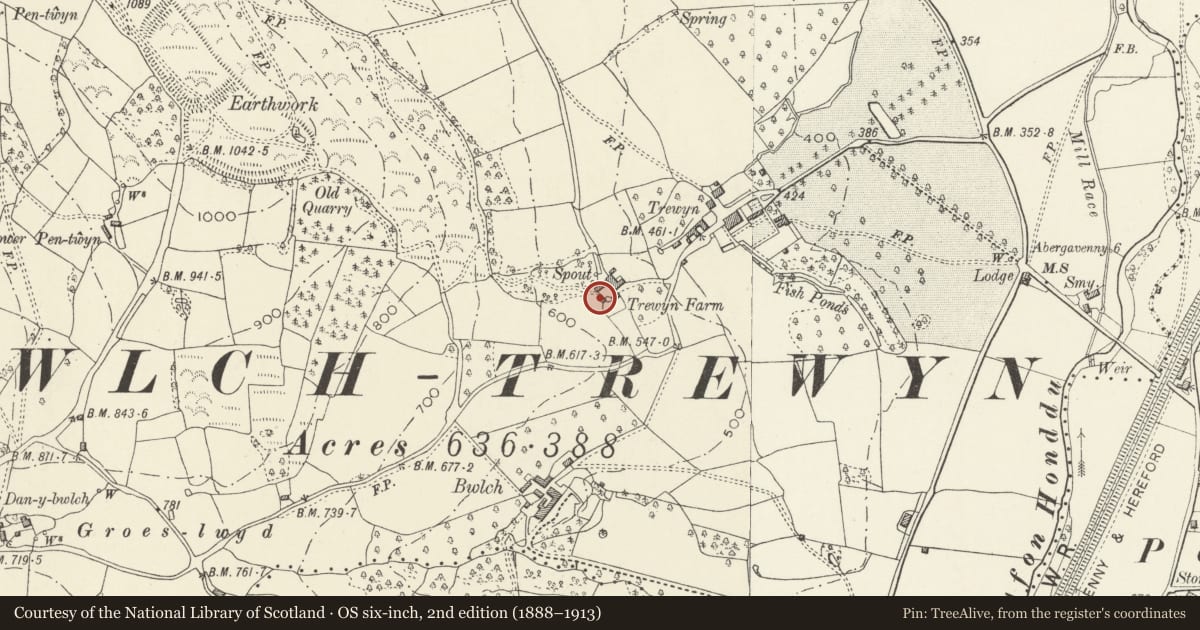 Ordnance Survey six-inch map, 2nd edition (1888–1913) covering the location of Old farmhouse at Trewyn Farm, Crucorney, Monmouthshire, with a pin at the register's coordinates