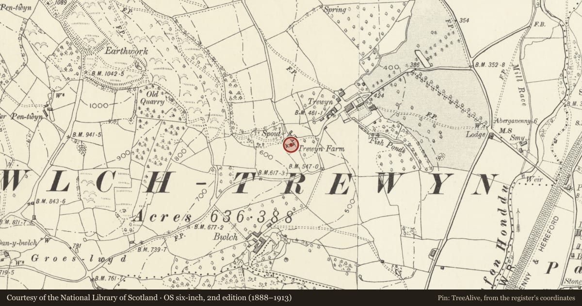 Ordnance Survey six-inch map, 2nd edition (1888–1913) covering the location of Trewyn Farmhouse, Crucorney, Monmouthshire, with a pin at the register's coordinates