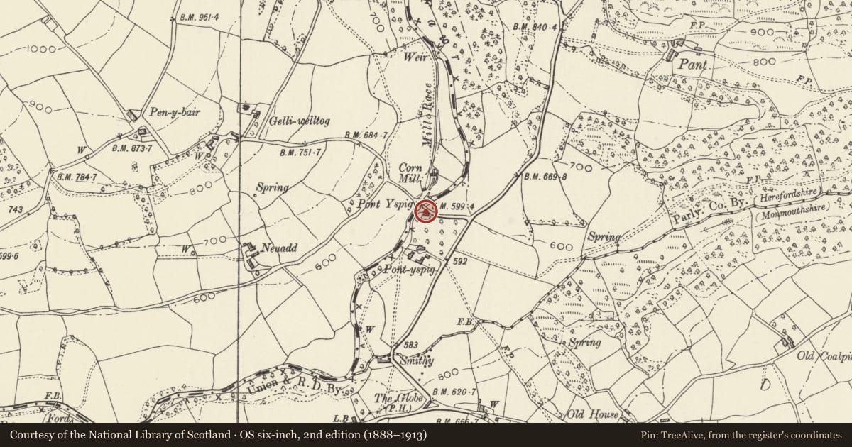 Ordnance Survey six-inch map, 2nd edition (1888–1913) covering the location of Pontyspig Cottage, Crucorney, Monmouthshire, with a pin at the register's coordinates