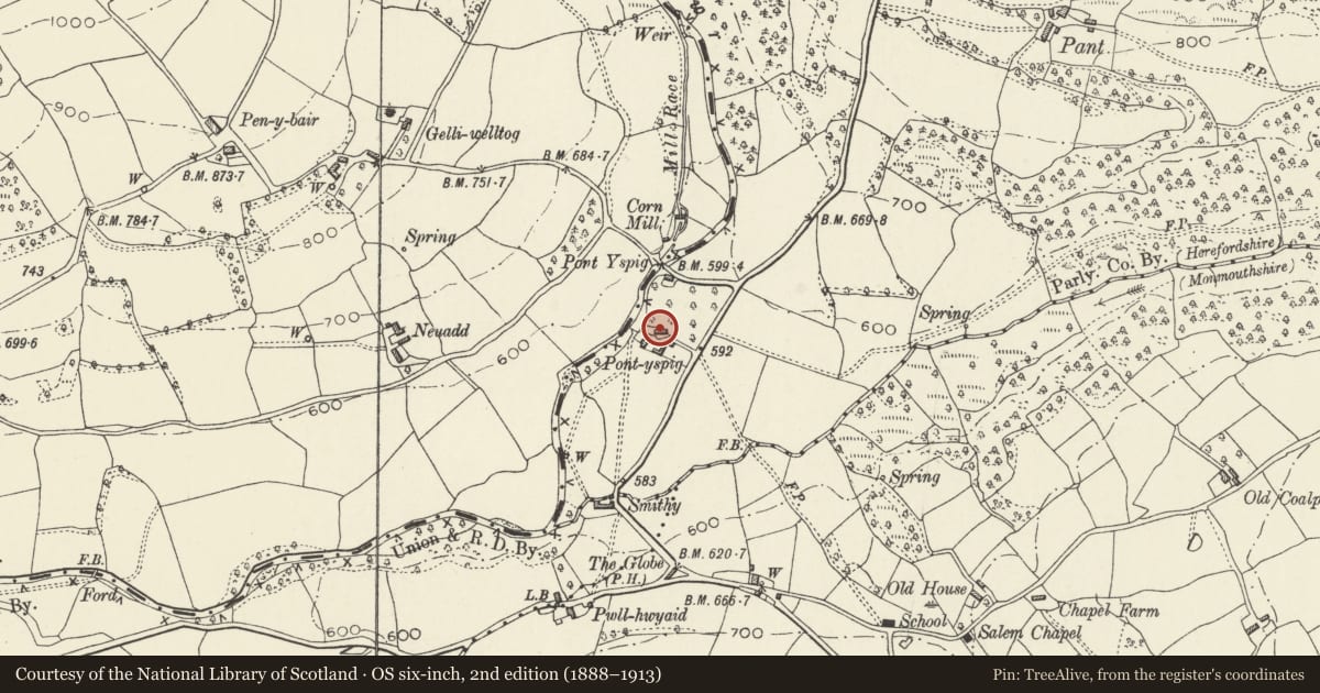 Ordnance Survey six-inch map, 2nd edition (1888–1913) covering the location of Pontyspig Farmhouse, Crucorney, Monmouthshire, with a pin at the register's coordinates