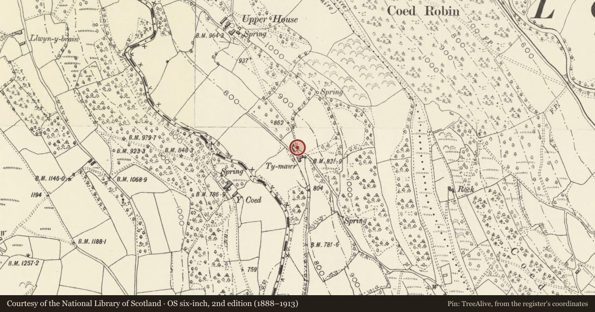 Ordnance Survey six-inch map, 2nd edition (1888–1913) covering the location of Bee bole at Ty-mawr Farm, Crucorney, Monmouthshire, with a pin at the register's coordinates