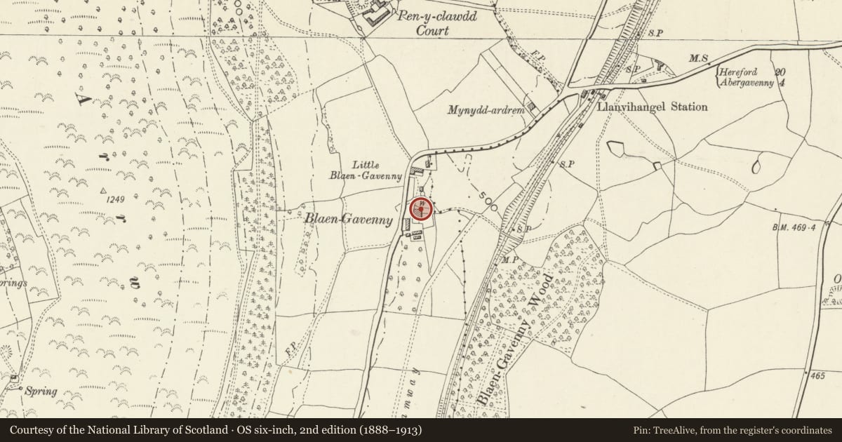 Ordnance Survey six-inch map, 2nd edition (1888–1913) covering the location of Granary and malthouse at Blaengavenny Farm, Crucorney, Monmouthshire, with a pin at the register's coordinates
