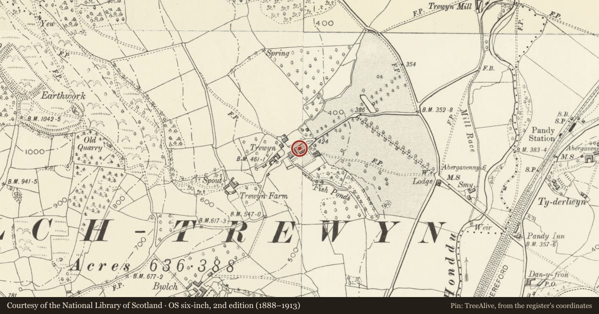 Ordnance Survey six-inch map, 2nd edition (1888–1913) covering the location of Terrace walls, steps, garden walls, gatepiers and gates at Trewyn House, Crucorney, Monmouthshire, with a pin at the register's coordinates