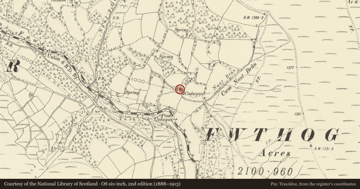 Ordnance Survey six-inch map, 2nd edition (1888–1913) covering the location of Cadwgan Farmhouse, Crucorney, Monmouthshire, with a pin at the register's coordinates