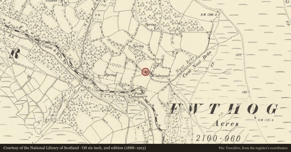 Ordnance Survey six-inch map, 2nd edition (1888–1913) covering the location of Cowhouse at Cadwgan Farm, Crucorney, Monmouthshire, with a pin at the register's coordinates