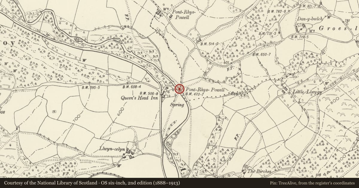 Ordnance Survey six-inch map, 2nd edition (1888–1913) covering the location of Pont Rhys Powell Bridge, Crucorney, Monmouthshire, with a pin at the register's coordinates
