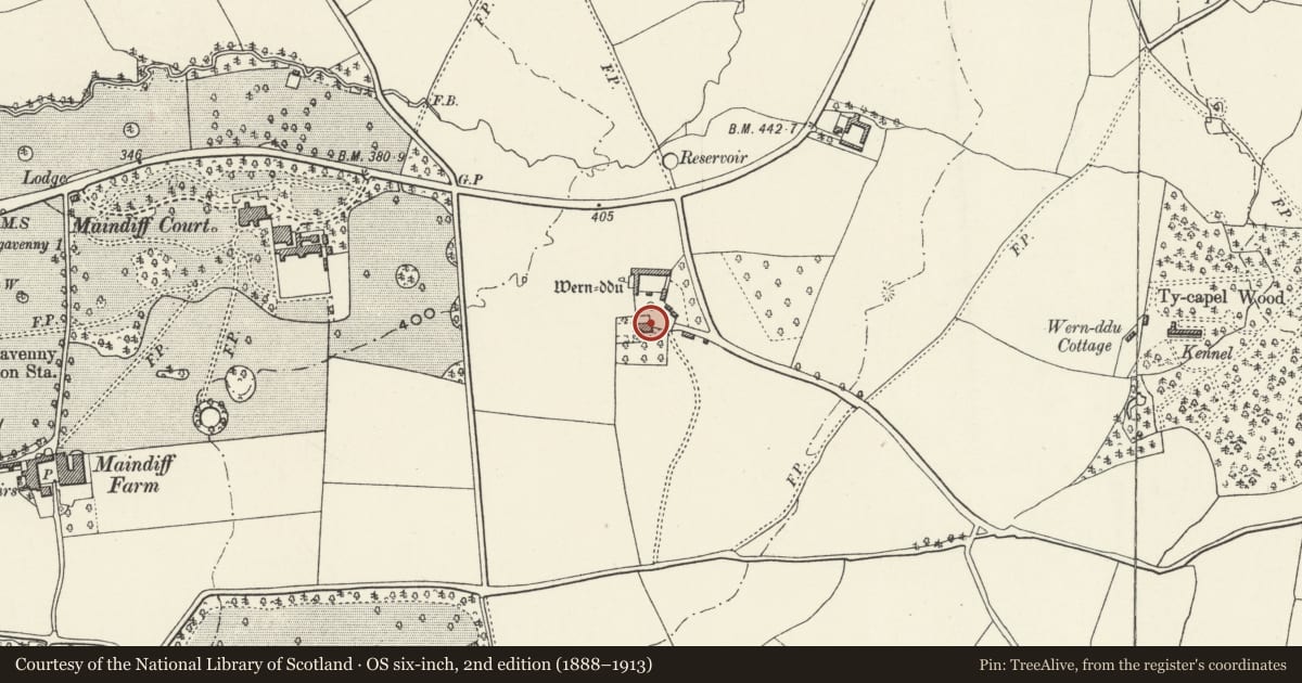 Ordnance Survey six-inch map, 2nd edition (1888–1913) covering the location of Wern-ddu Farmhouse, Llantilio Pertholey, Monmouthshire, with a pin at the register's coordinates