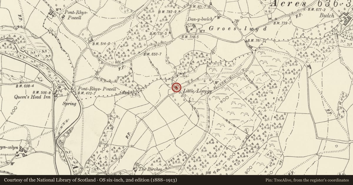 Ordnance Survey six-inch map, 2nd edition (1888–1913) covering the location of Barn at Little Llwygy Farm, Crucorney, Monmouthshire, with a pin at the register's coordinates